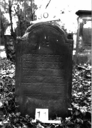 Grabstein A I/11/30