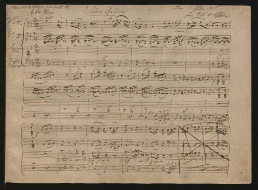 Salve regina; S, vl (2), bc; F-Dur; D 223