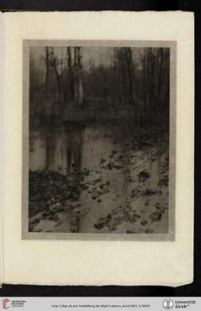 [Eduard J. [Jean] Steichen, II. The Pool, photogravure from original negative by Eduard J. [Jean] Steichen]