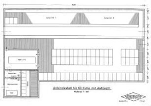 Anbindestall für 60 Kühe mit Aufzucht M 1:100