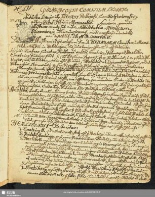 Genealogia Comitum Leisnic: deducta a majoribus Viperti, Comitis Groicensis. [Auszug].