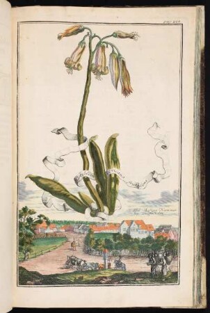 p. 228 Der Meßing-Hammer bey Lauffenholtz. - Nürnberg-Laufamholz