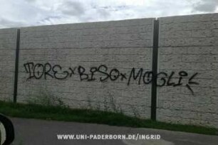 TORE BiSo MOGLi