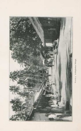 Plate 9. A Singhalese village