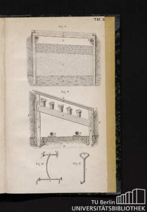 Taf. III. Fig 8 - 11