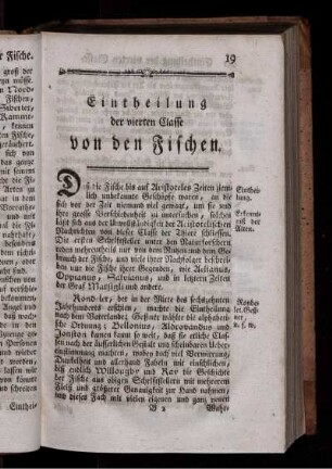 Eintheilung der vierten Classe von den Fischen.