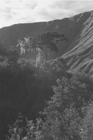 Am Rio Paez (Lateinamerika-Aufenthalte 1934/1942 – 2. Kolumbien 1934-1937)