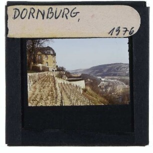 Dornburg, Rokoko-Schloss