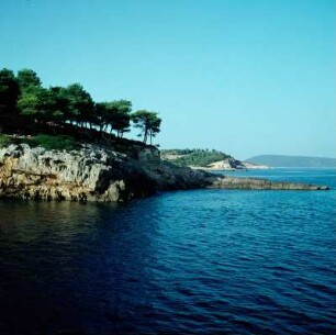Skopelos. Steilküste mit Kiefern