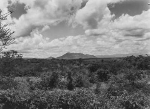 Berge : Berge im Umland von Dodoma