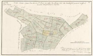Eisingen. Accurater Plan über den 2ten Theyl der Zellg Neidlingerthal, das Huchenfeld genannt lauffend vom Stük Nr. 395 biß auf den Nrum. 854, Lit. E