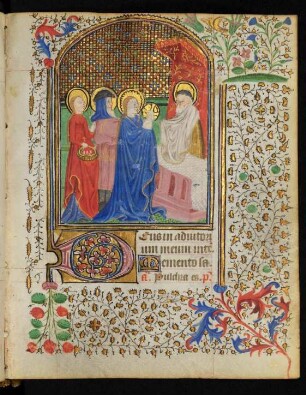 Vollbordürenseite mit Miniatur (Darbringung im Tempel), Initiale D und Fadenrankenbordüre