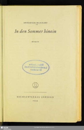In den Sommer hinein : Roman