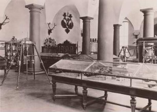 Jagd-Abteilung : Dresden, Johanneum, Erdgeschosshalle, Historisches Museum, Abteilung Jagd