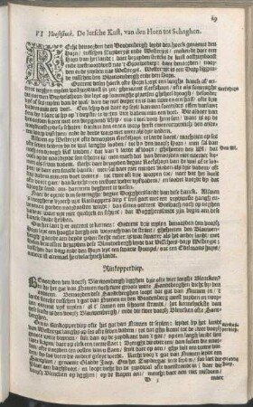 VI Hooftstuck. De Iutsche Kust, van den Horn tot Schaghen.