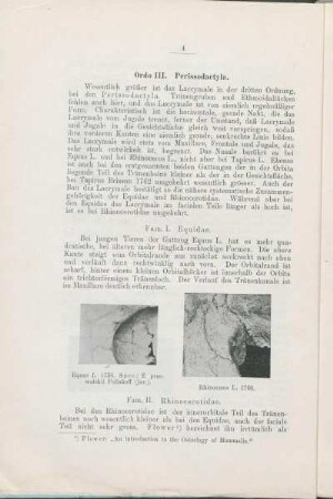 Ordo III. Perissodactyla.