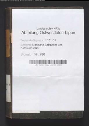 Konzept des Salbuchs der ehem. Vogtei Hohenhausen von 1858, Bd. 2