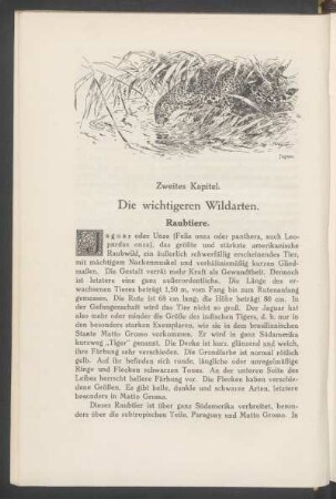 Zweites Kapitel. - Die wichtigeren Wildarten.