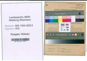 Entnazifizierung Wilhelm Roegels , geb. 25.01.1891 (Schreiner)