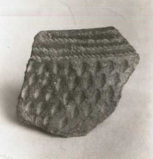 Randscherbe : archäologischer Fund aus der nordischen Jungsteinzeit