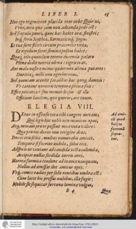 Elegia VIII.