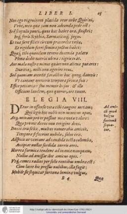 Elegia VIII.