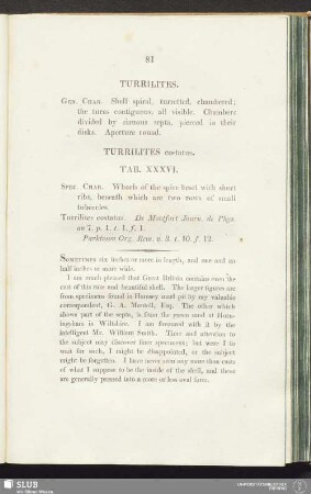 Turrilites costatus. Tab. XXXVI