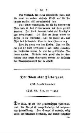 ¬Der¬ Wau oder Färbergras : (Lat. Reseda Luteola) ; Taf. VII, Fig. 30 - 32