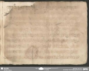 Aria: "E'assai bello il tresoncino"