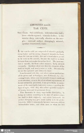 Amonites monile. Tab. CXVII