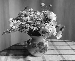 Blumen in Vasen. Sommerblumenstrauß in bemalter, bauchiger Vase