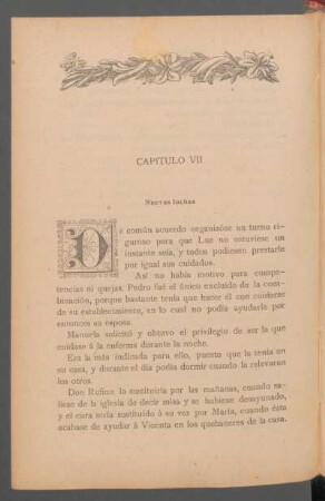 Capítulo VII - Nuevas luchas