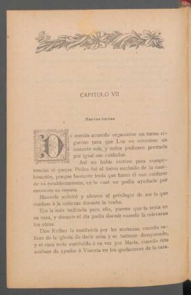 Capítulo VII - Nuevas luchas