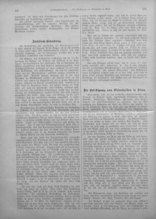Zinkblech-Bedachung.