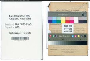 Entnazifizierung Heinrich Schneider , geb. 17.01.1901 (Angestellter)
