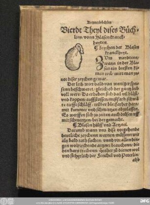 Vierdt Theyl dises Büchlins/ vonn Blasen kranckheyten.