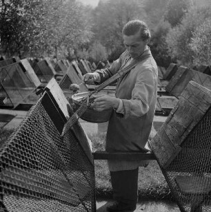 Archivfotografie "motive_tiere_tierzucht_pelztiere_370neg"