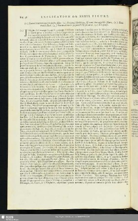 Explication de la XXXVI. Figure