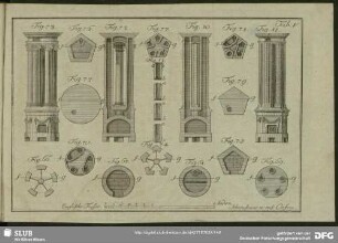 Tab. V. Fig. 66. - 81.