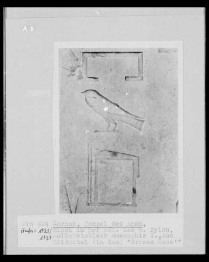 Hieroglyphe
