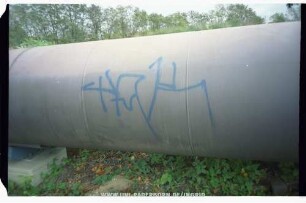 tAK