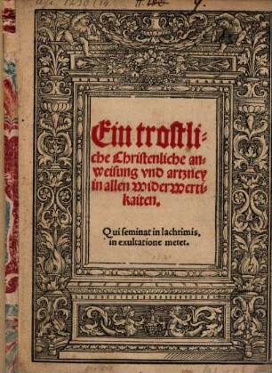 Ein trostliche Christenliche anweisung vnd artzney in allen widerwertigkaiten
