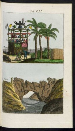 Taf. XII. Fig. 44. - Fig. 55.