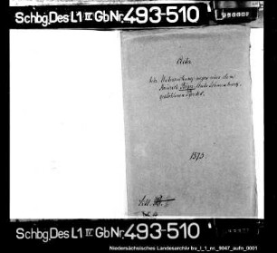 Untersuchung wegen eines dem Heinrich Boger gestohlenen Pferdes