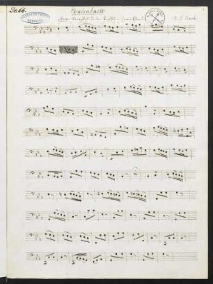 Contrabasso