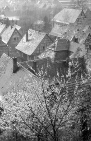 Zwingenberg: Blick vom Kirchplatz auf Dächer und Blüten