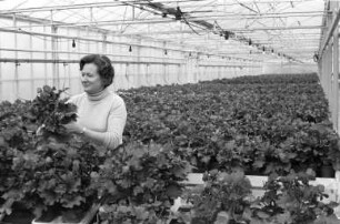 Karlsruher Blumenschau "Frühling ´78" im Badischen Landesmuseum