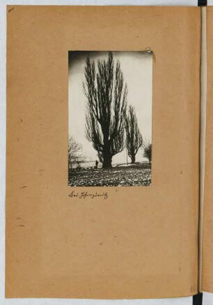 Hohenzieritz: Ansicht (aus: Skizzen- und Fotoalbum 25)