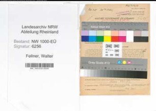 Entnazifizierung Walter Fellner, geb. 10.05.1907 (Kraftfahrer)