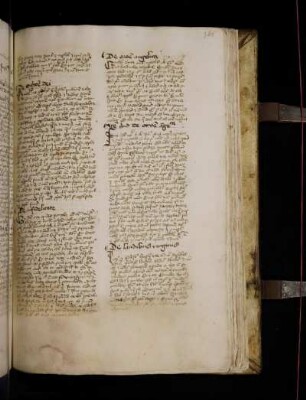 Quedam devota domina monialis ab infantia dominium et matrem domini valde diligebat …